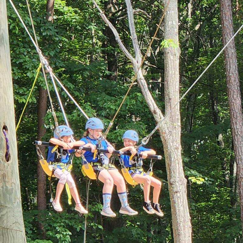 trees-fun-flipped--SQ800